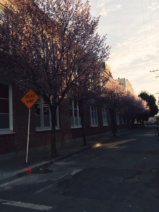 ede94491-eee1-4801-8fb5-8de3fd9e2057